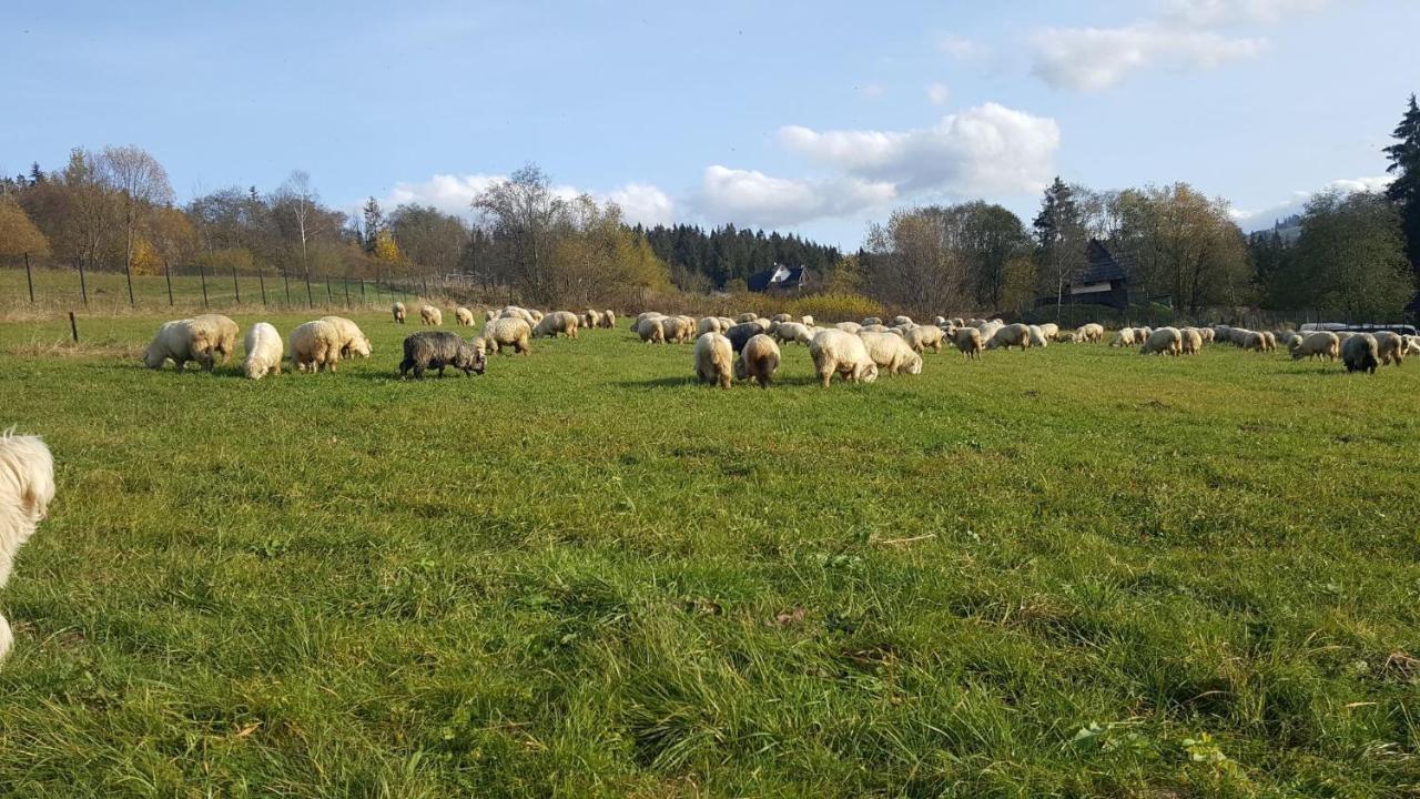 Villa Jagodovo Biały Dunajec Esterno foto