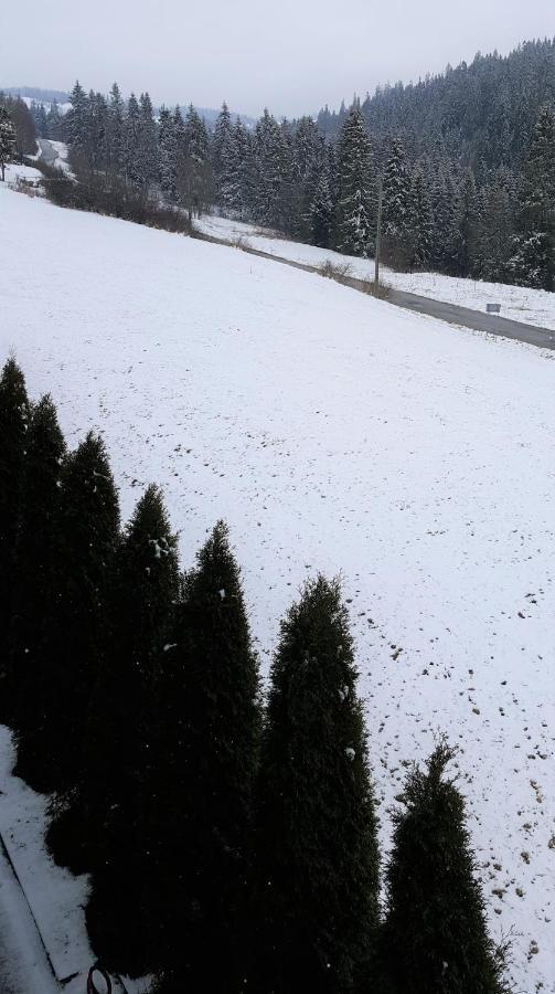 Villa Jagodovo Biały Dunajec Esterno foto