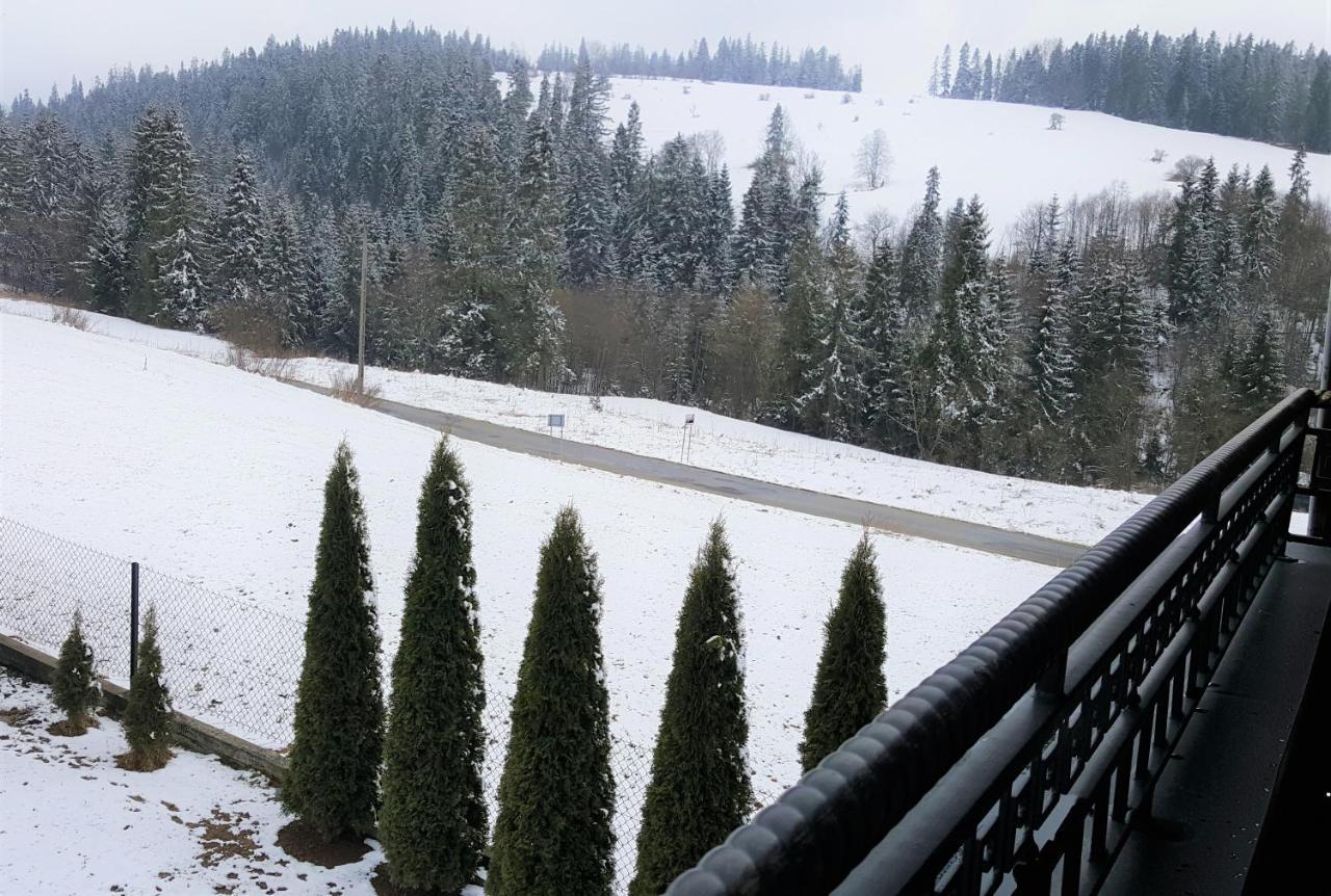 Villa Jagodovo Biały Dunajec Esterno foto